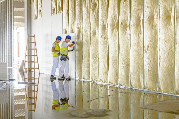 Best Basement Insulation  in New Knoxville, OH